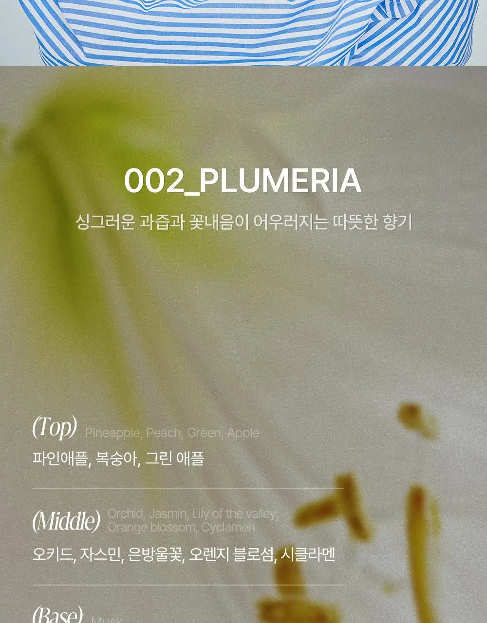[열보호] 탐즈 시그니처 에센스 100ml PLUMERIA 상세페이지 5